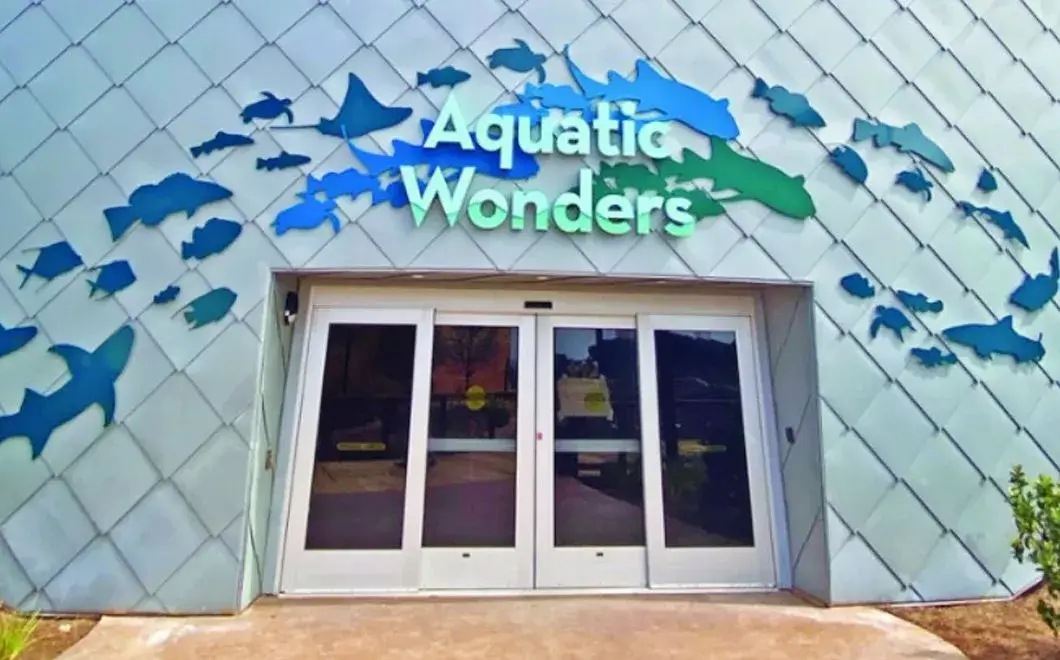 Mississippi Aquarium tiles installation